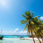 Jelajahi Keindahan Pulau Mafia, Tanzania